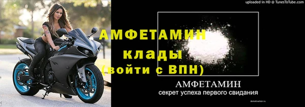 сатива Осташков