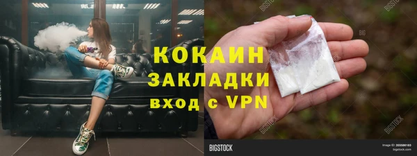 сатива Осташков