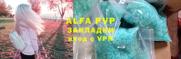 сатива Осташков