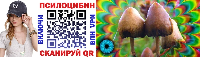 Купить где  Игра  Галлюциногенные грибы Psilocybe 